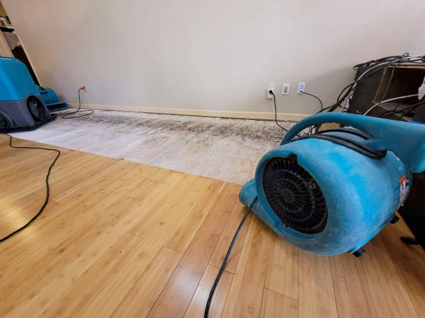 Reliable Basement Flood Cleanup contractor in Winfield, IL by Hirex Water Damage