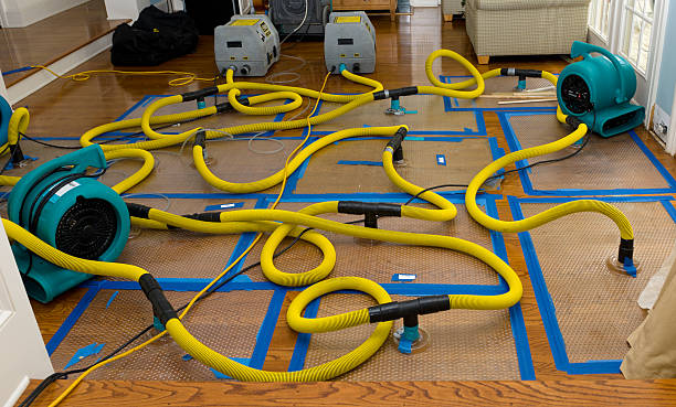 Professional Basement Flood Cleanup technician working in Winfield, IL